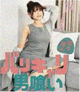雍正王朝